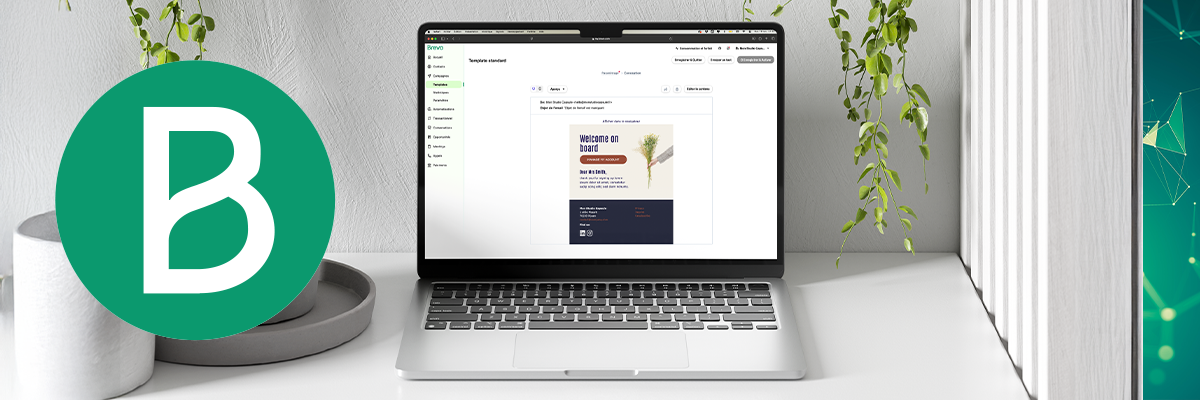 Formation Newsletter Brevo
